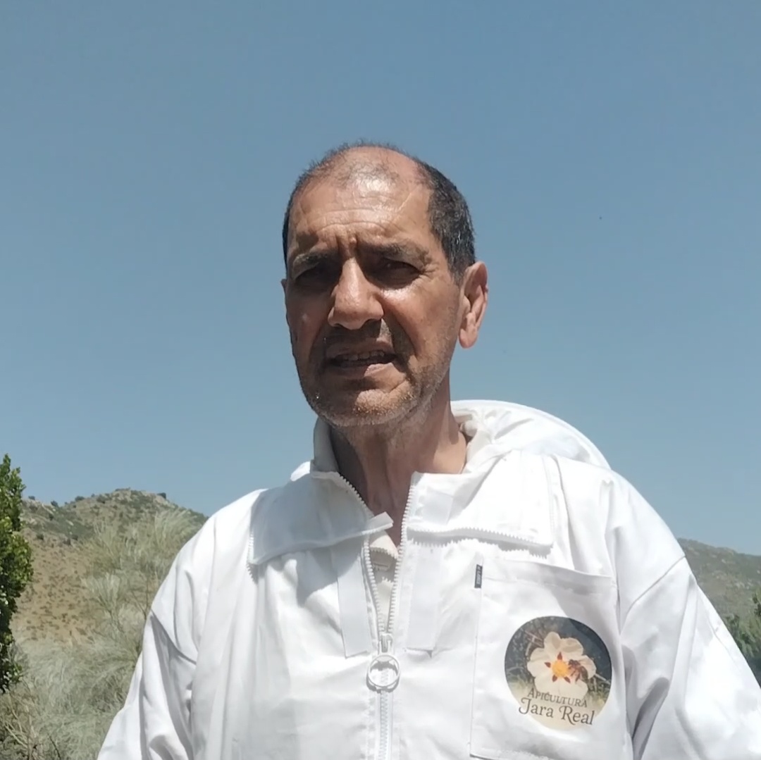 responsable de formación apícola jara real