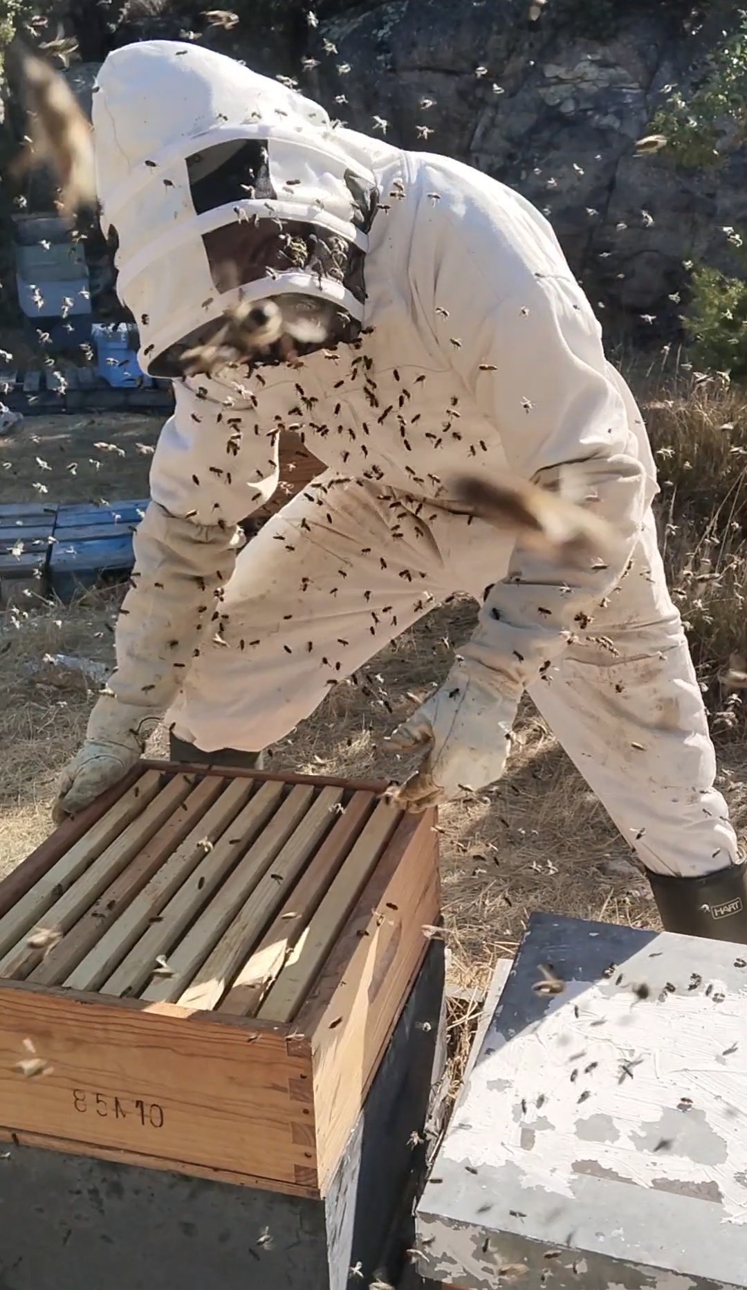 Noviembre un mes «CLAVE», para la invernada.