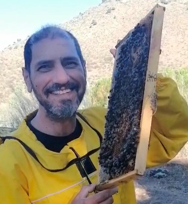 Mansedumbre en colmenas